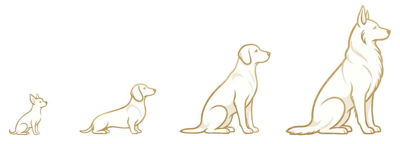 Biothane-Leinenbreiten im Vergleich für unterschiedliche Hundegrößen.