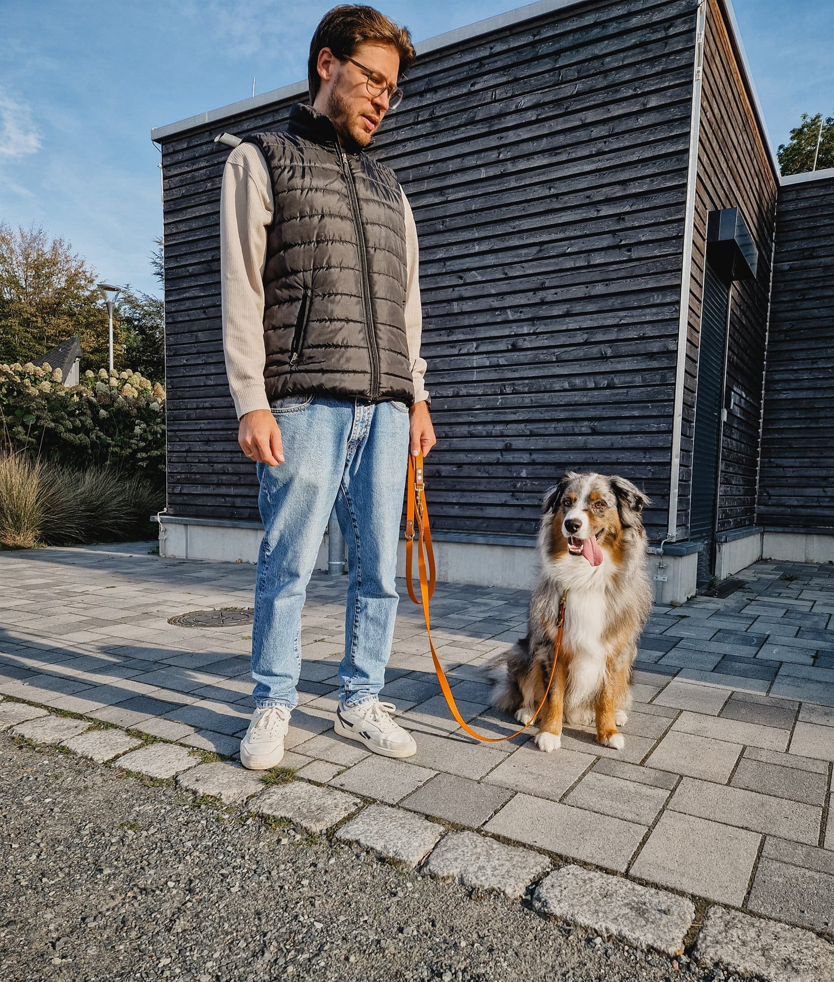 Hund mit Leine auf einem Waldweg