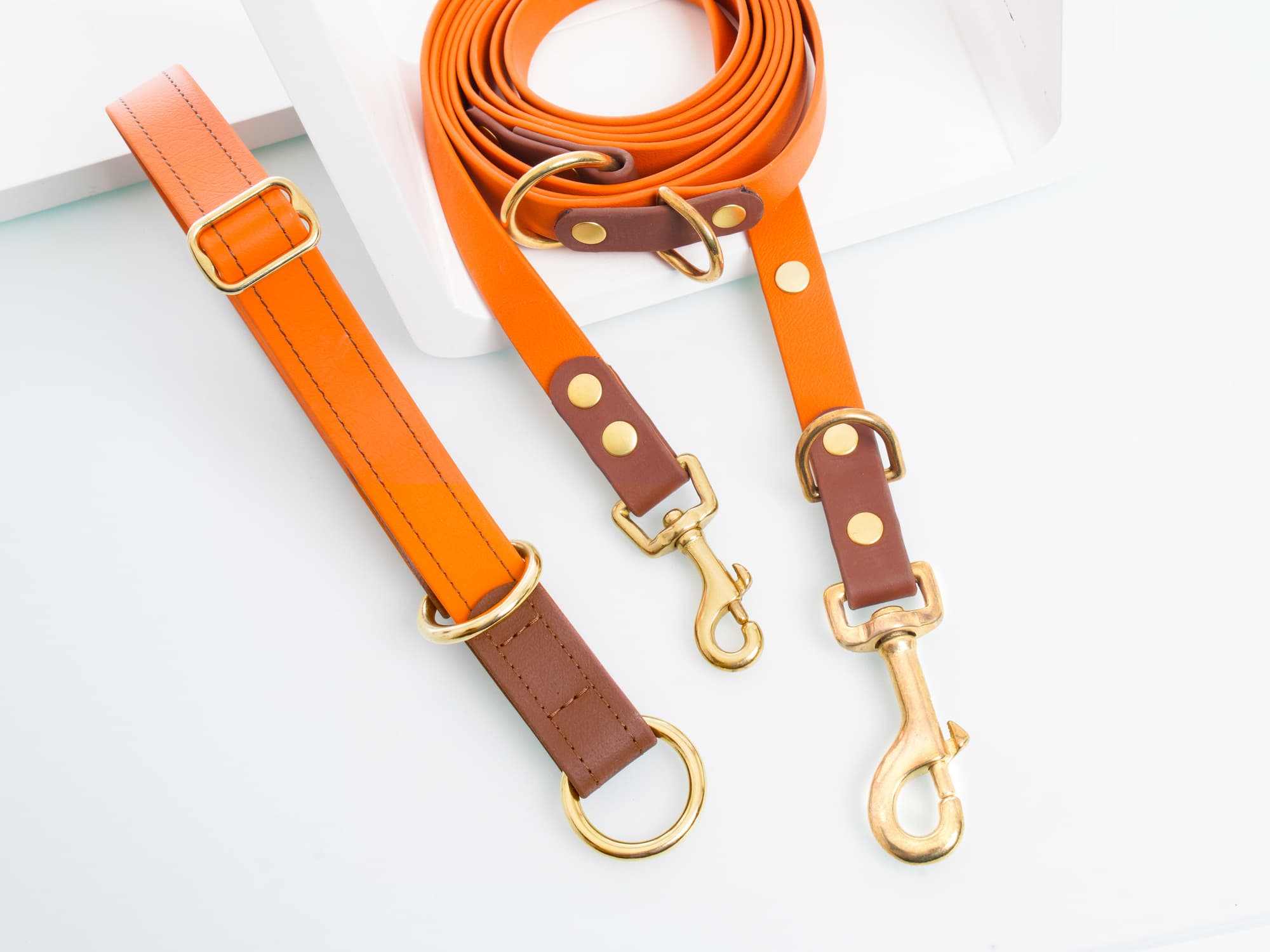 Biothane Zugstopp Halsband 2