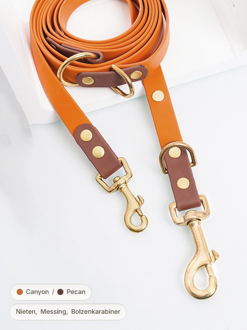 Orange Biothane-Leine mit braunen Details und goldenen Beschlägen.