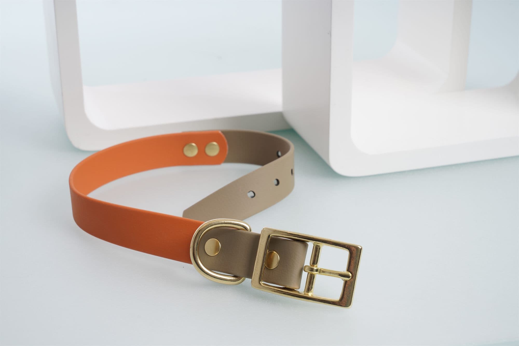 Biothane-Halsband mit Messingbeschlägen als Materialdetail